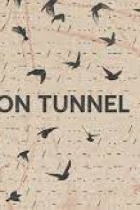 The Pigeon Tunnel (2023)